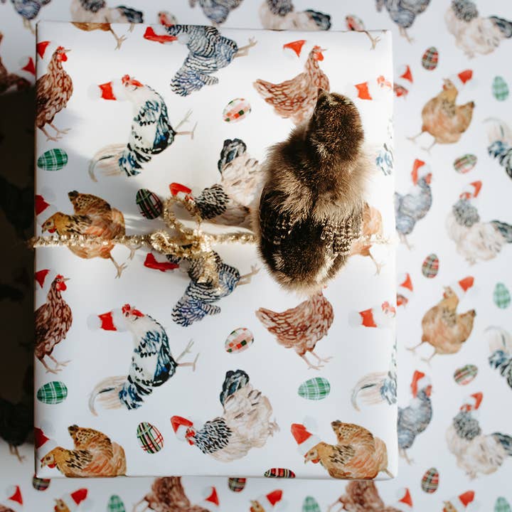 Lana's Shop – wholesale Wrapping paper roll – Christmas Chickens in Santa Hats Gift Wrap Roll10