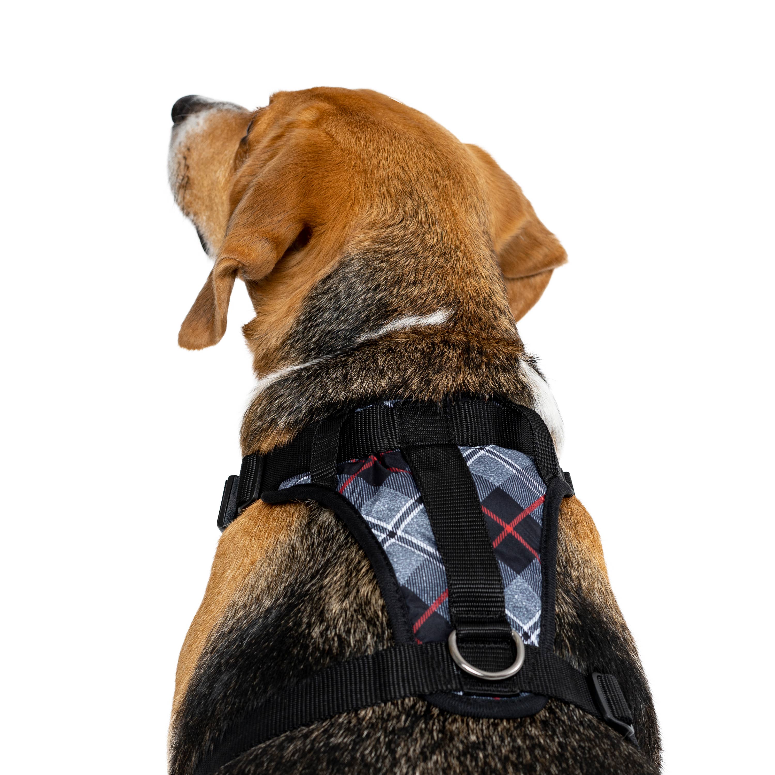Canada Pooch – wholesale Pet harness – Dog – Everything Harness- No-Pull Dog Harness (Water Resistant)3