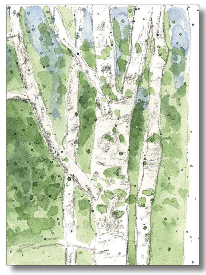 Vita björkträd för wholesale av WORDS & WATERCOLORS BY PEG CONLEY