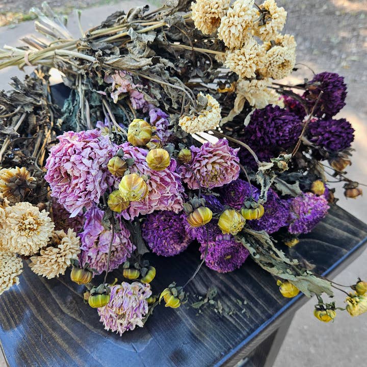 Alissas Flower Farm - Wholesale Dried/Pressed Flowers - Dried Dahlias4