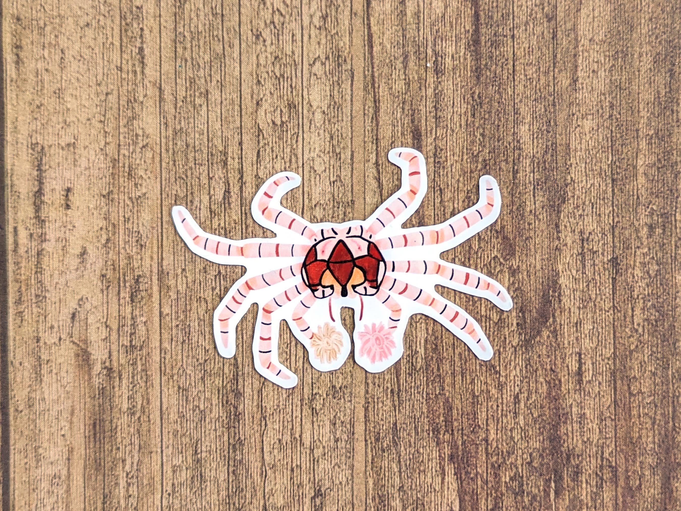 Proper Wolf - Wholesale Sticker - Boxer Crab / Pom-Pom Crab Vinyl Sticker Decal2