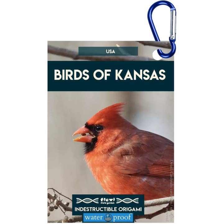 Vögel von Kansas-Unzerstörbares Origami für den Großhandel von Flexi Field Guides