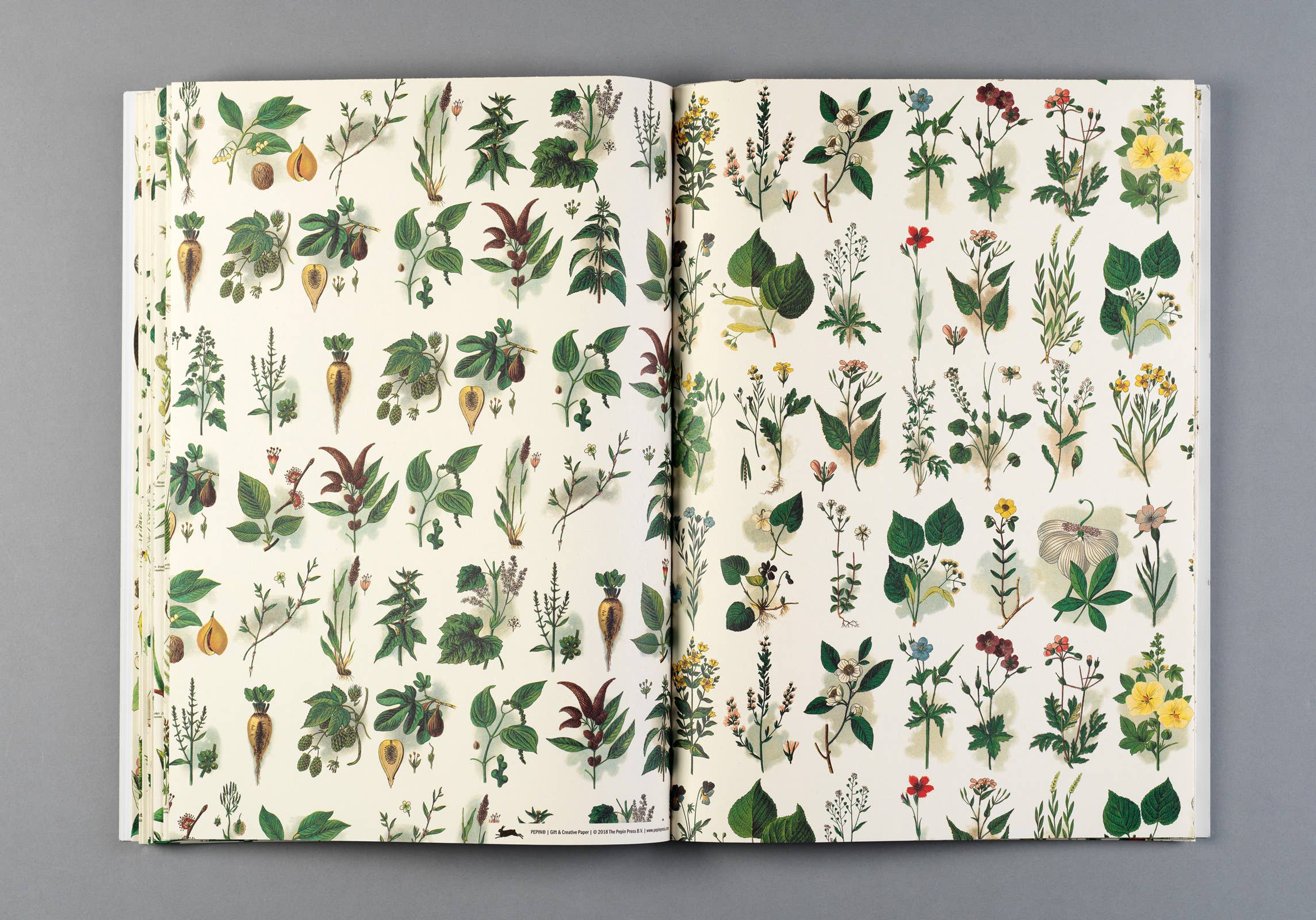 Pepin Press – wholesale Flat wrap – Flora Gift & Creative Paper Book Vol. 854