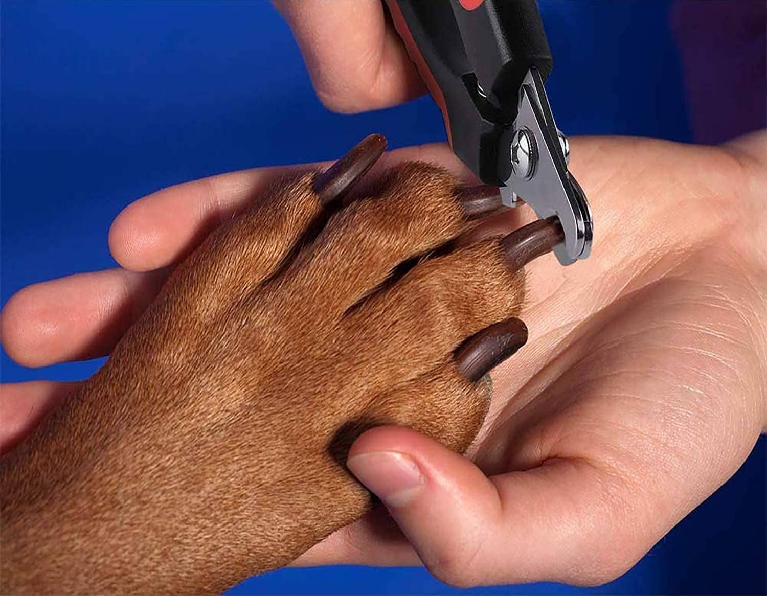 My Wholesale Warehouse - Vendita all'ingrosso Strumento per toelettatura - Cani - Tagliaunghie e lima per unghie Generise Pet7