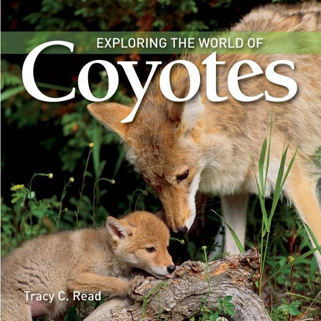 Bradley's Book Clearance - Wholesale Nature & Outdoors - Exploring The World Of Coyotes