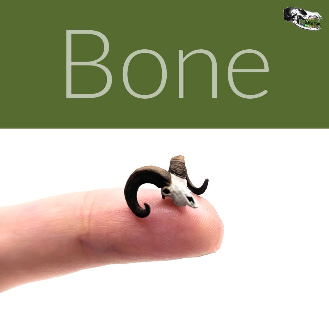 The Scale Grail - Wholesale Decorative Figurine - 1/48 Scale Big Horn Sheep Skull Replica for Dioramas1