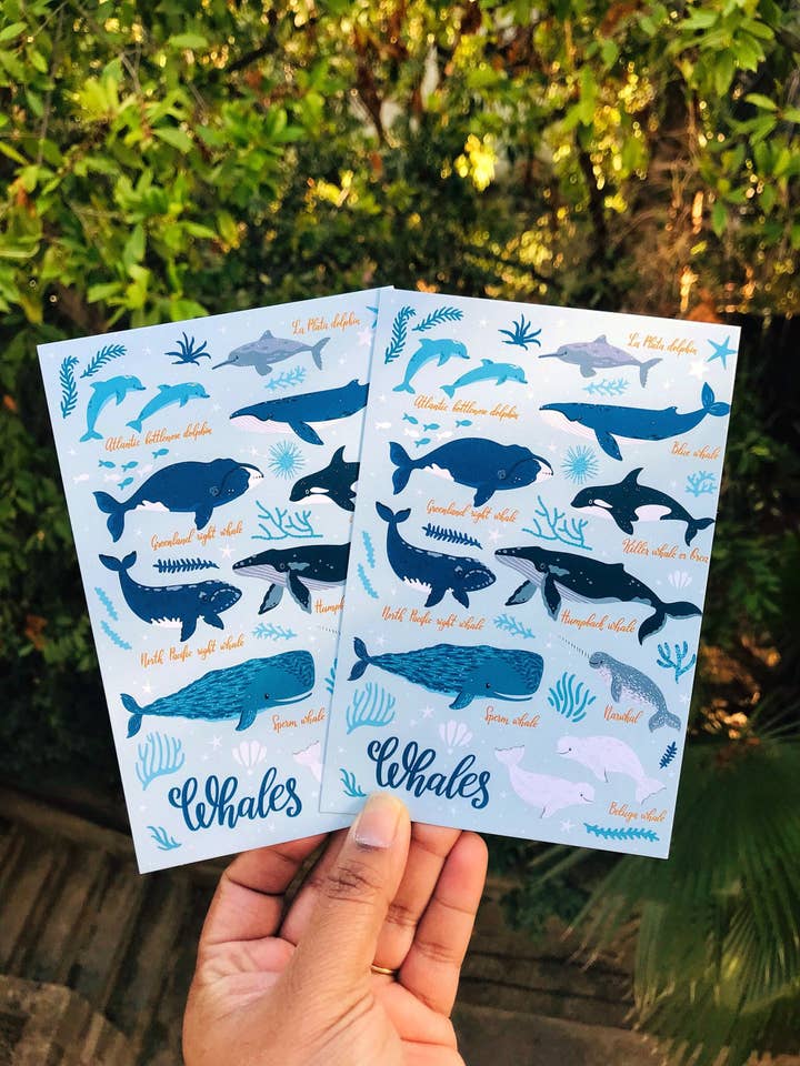 Soorten walvissen ansichtkaart | Marine Life Ansichtkaart voor wholesale door Artful Geet Creations