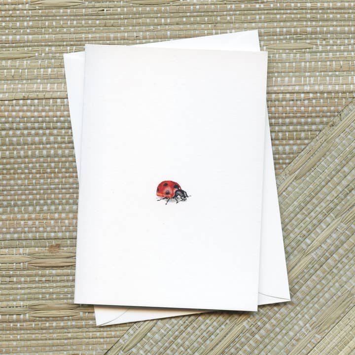 "Miss Lady" Greeting Card for wholesale by Paintings For Hummingbirds