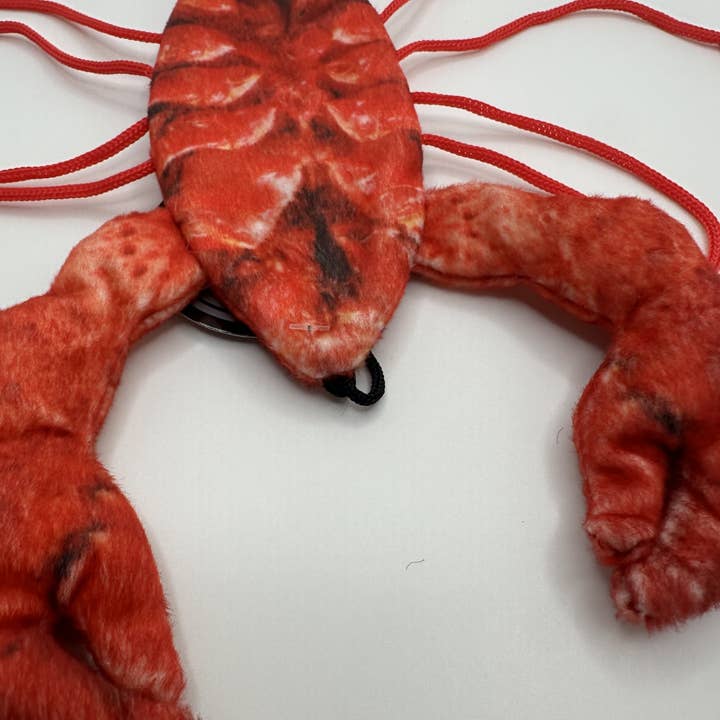 Steel Dog USA LLC - Wholesale Pet Toy - Cat - Cat Toy - Lobster