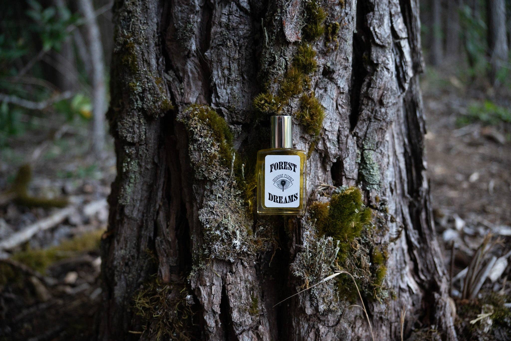 Intuitive Essence - Wholesale Perfume/Eau de Toilette - Forest Dreams3