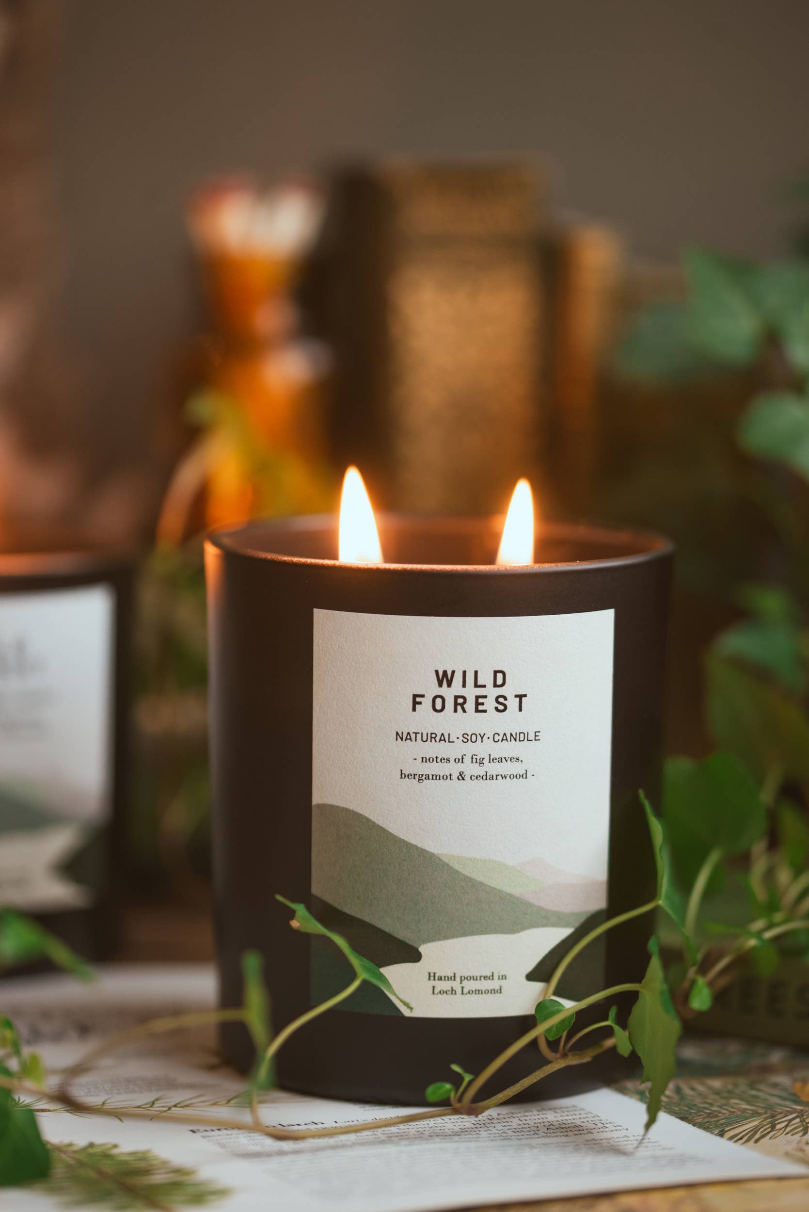 Ocoee House – wholesale Jar/filled candle – Wild Forest, Organic & Vegan Scented Candle | Ocoee House18