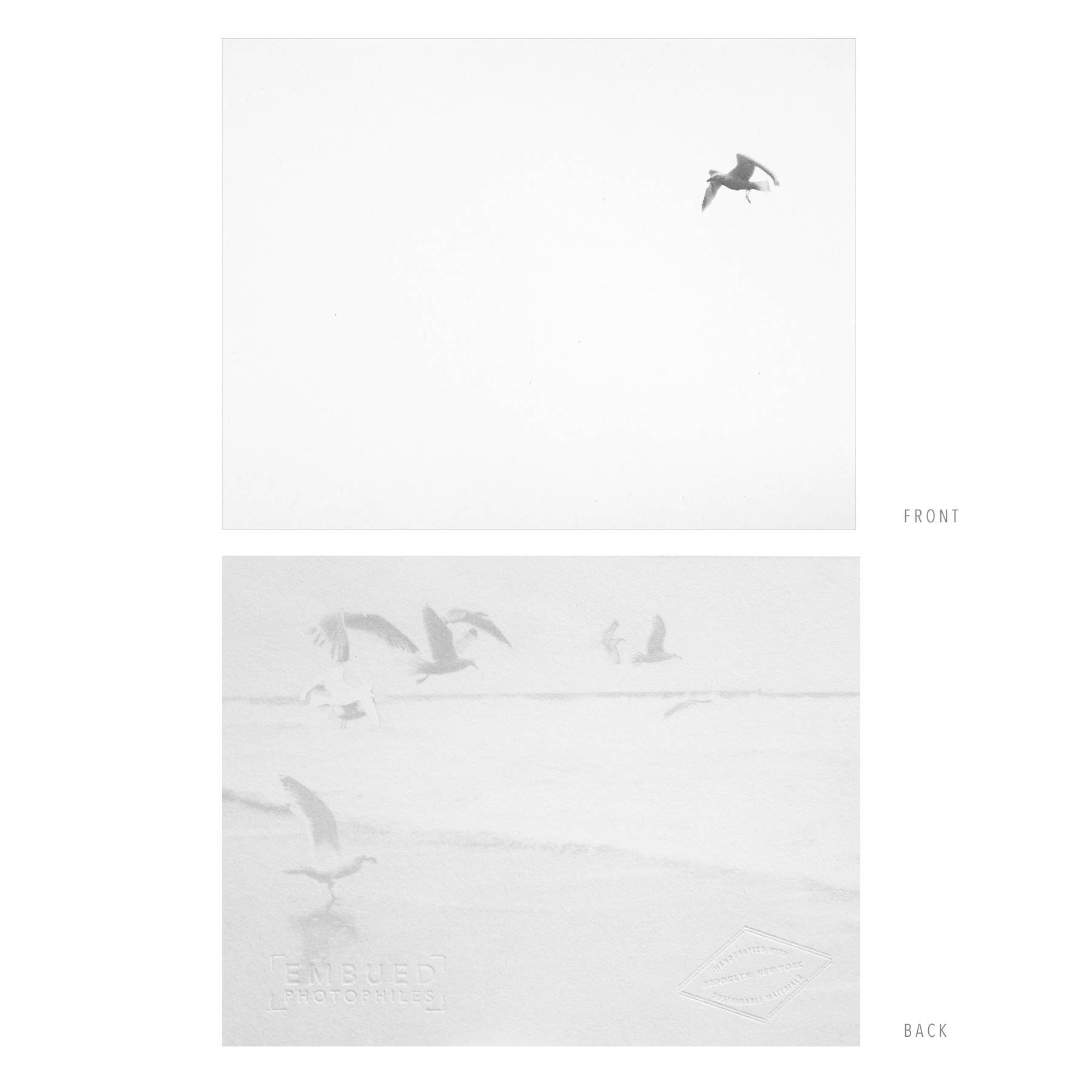 Embued Photophiles - Wholesale Stationery/Notecard Set - Bird Double Sided Flat Notecard Set1