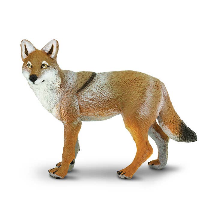 Safari Ltd. - Wholesale Figurine Toy - Kids - Coyote - 2272290