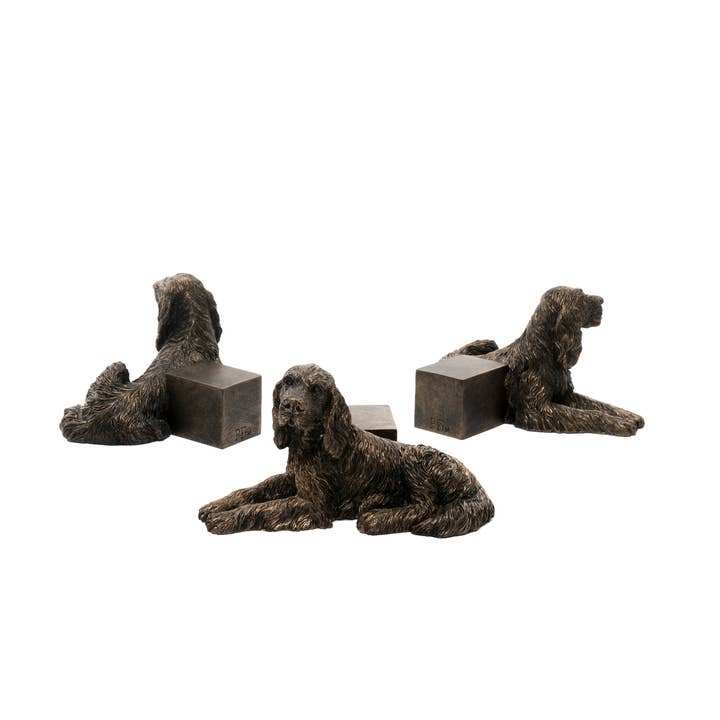 Irish Setter Plant Pot Feet - Set Of 3 for wholesale by Jardinopia UK