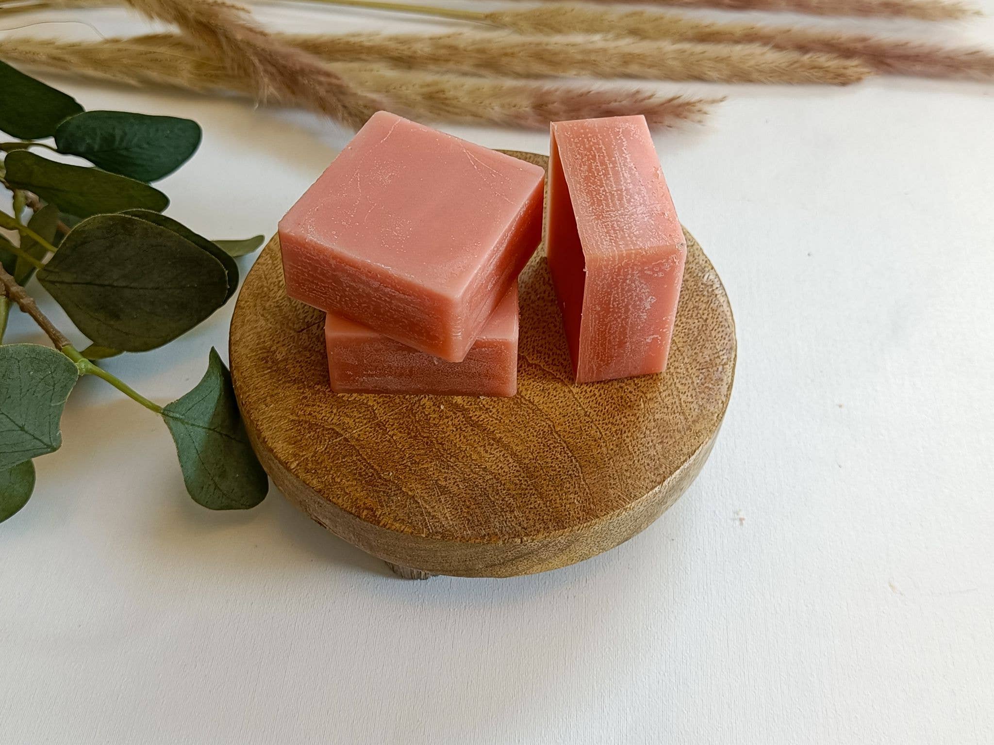 Forest Fragrances - Wholesale Shampoo Puck/Solid Shampoo - Solid Conditioner Bar Tropical (scent: tropical, gardenia)1