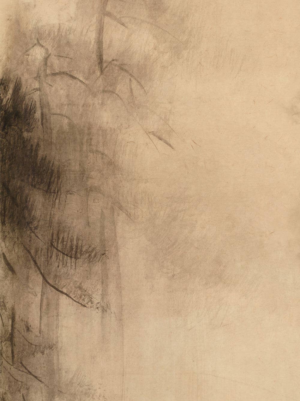 Modern Antique Prints - Wholesale Art Print - Wabi-Sabi Pine Sketch – Timeless Silence in the Mist II3