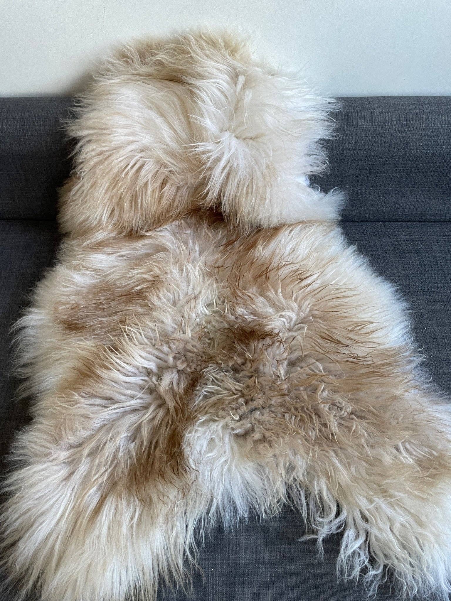 Wildash London – wholesale Area rug – Icelandic Latté Sheepskin Rug 100% Natural Brown Tipped White1