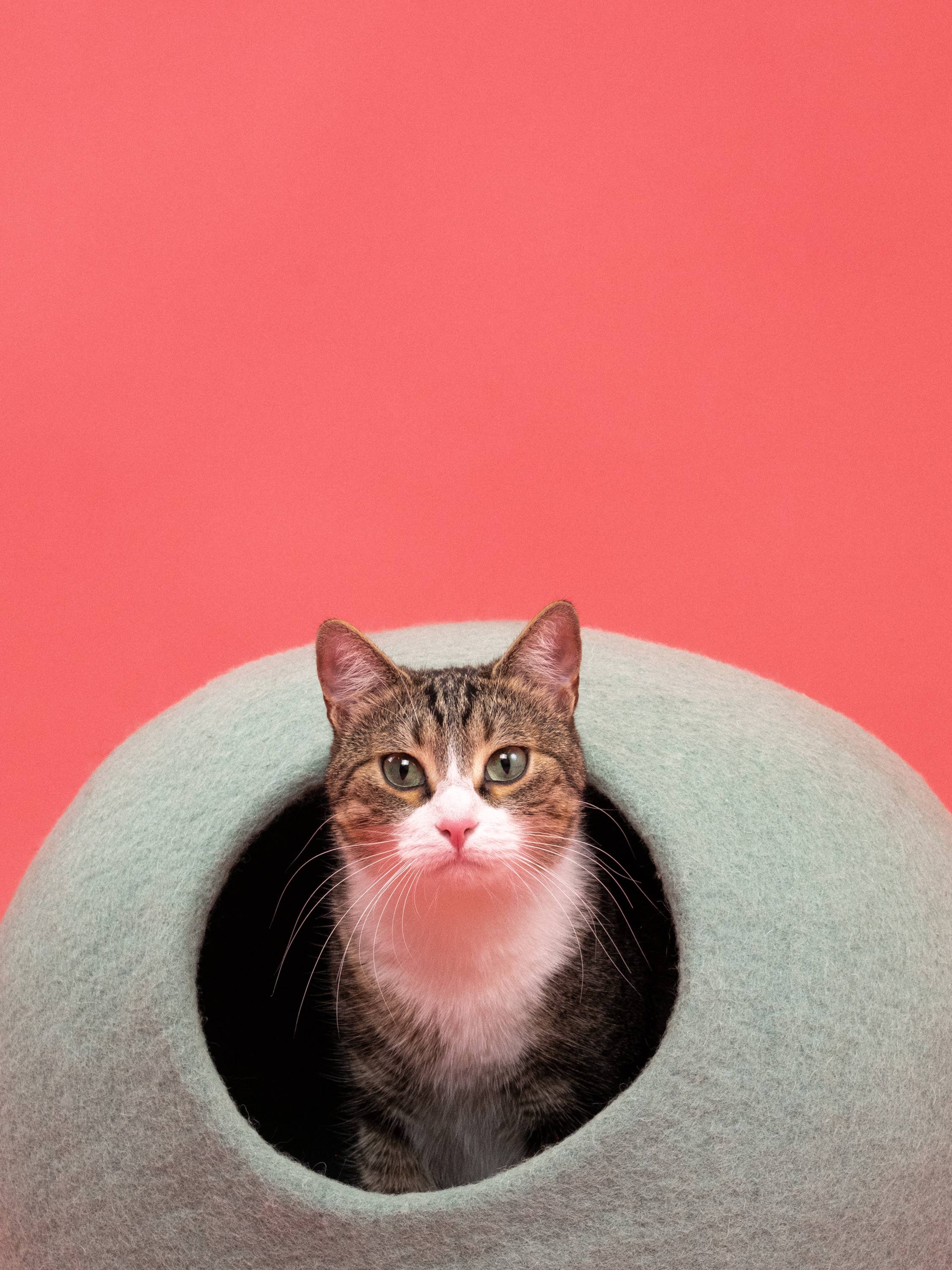 myfelt - Wholesale Pet Cave - Cat/Dog - Fine cat cave2