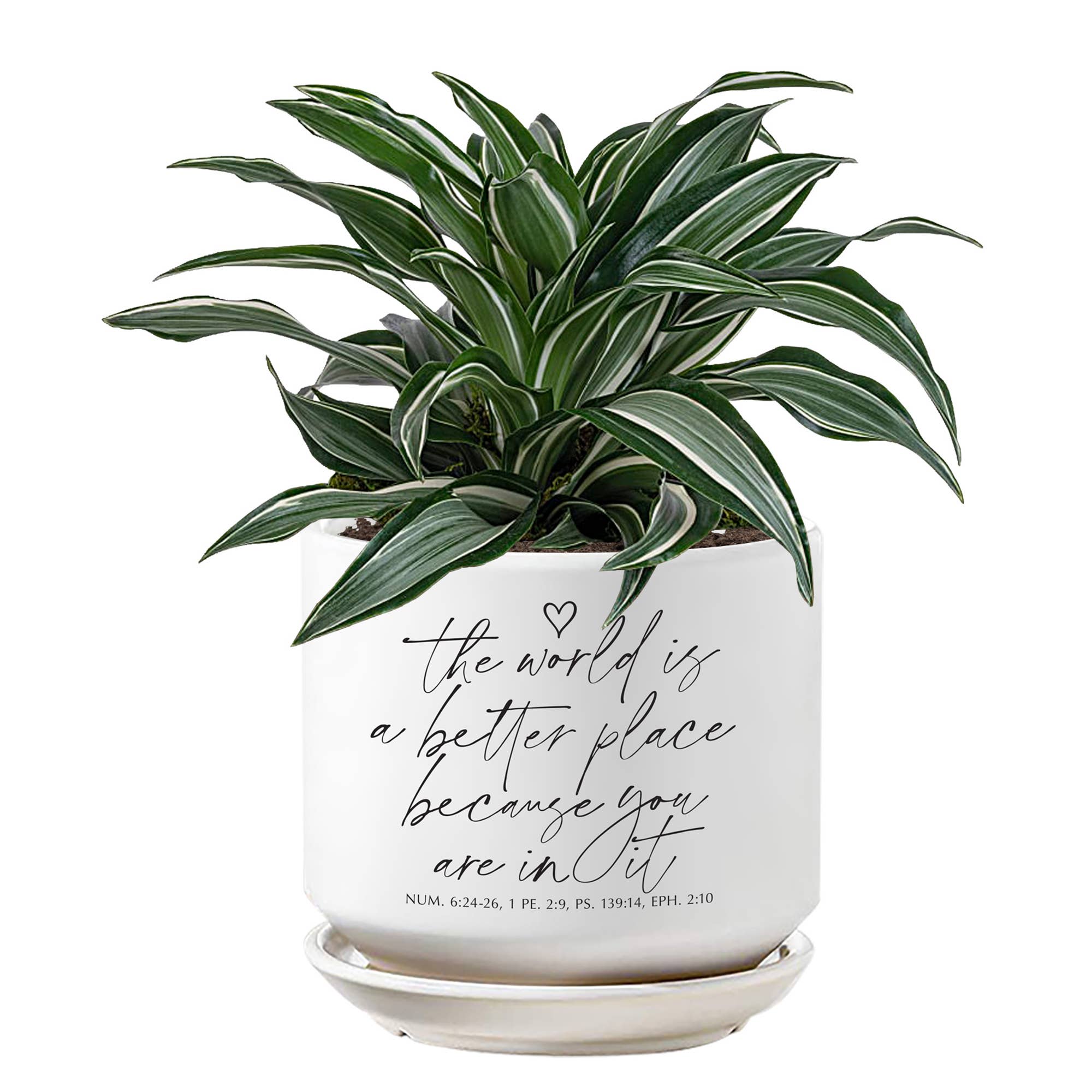 Dicksons - Wholesale Plant Pot - LCP Planter The World Is A Better Place1
