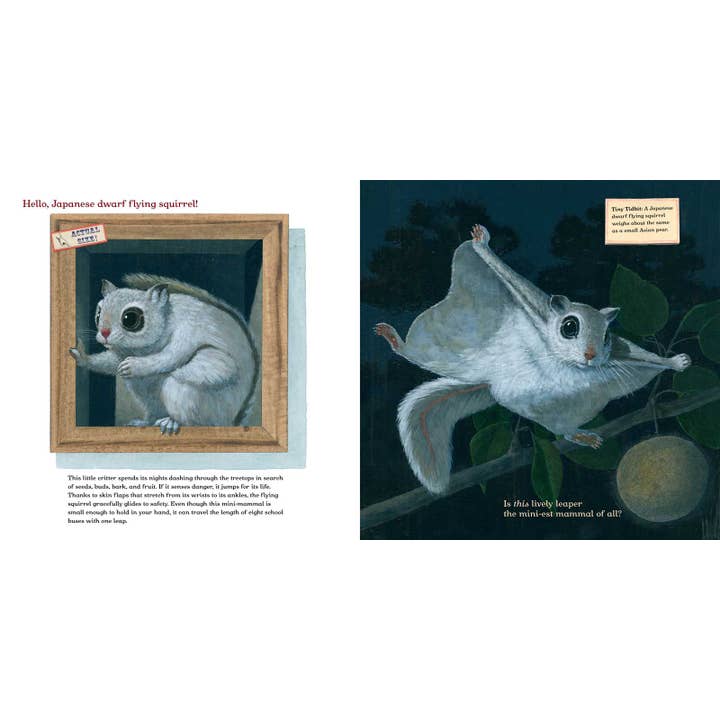 Simon & Schuster - Wholesale Book - Kids - Meet the Mini-Mammals by Melissa Stewart