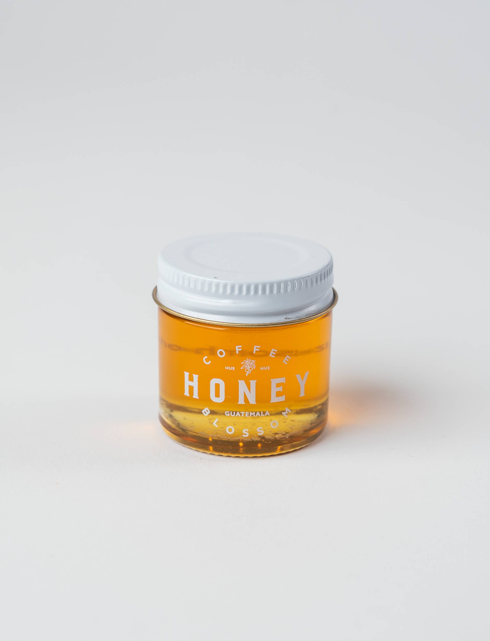 Coffee Blossom Honey - Wholesale Honey - Cafe Starter Kit21