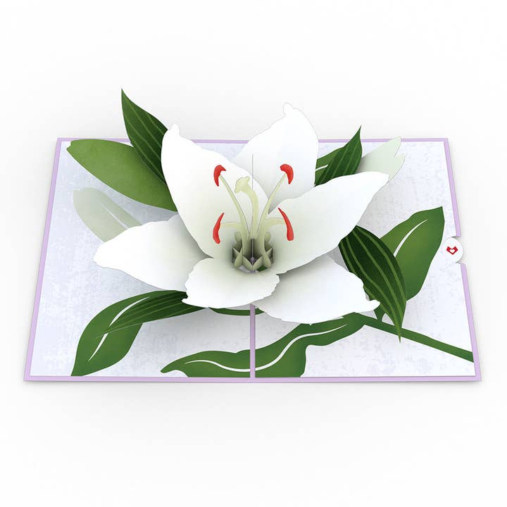 Lovepop Cards - Wholesale Sympathy Card - Sympathy Lily 5''x7'' Card, Pop-Up Cards
