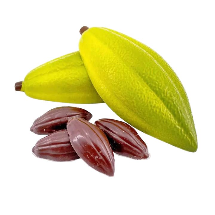 Dark chocolate cacao pod with pralines 100g for wholesale by The Belgian Chocolate Makers