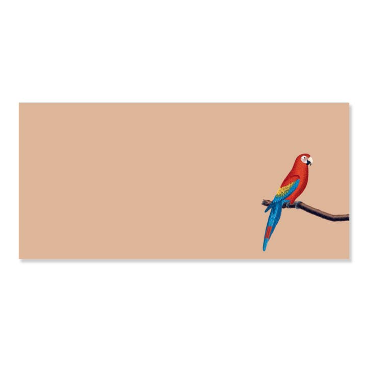 Macaw Anteckningsblock för wholesale av 30x40