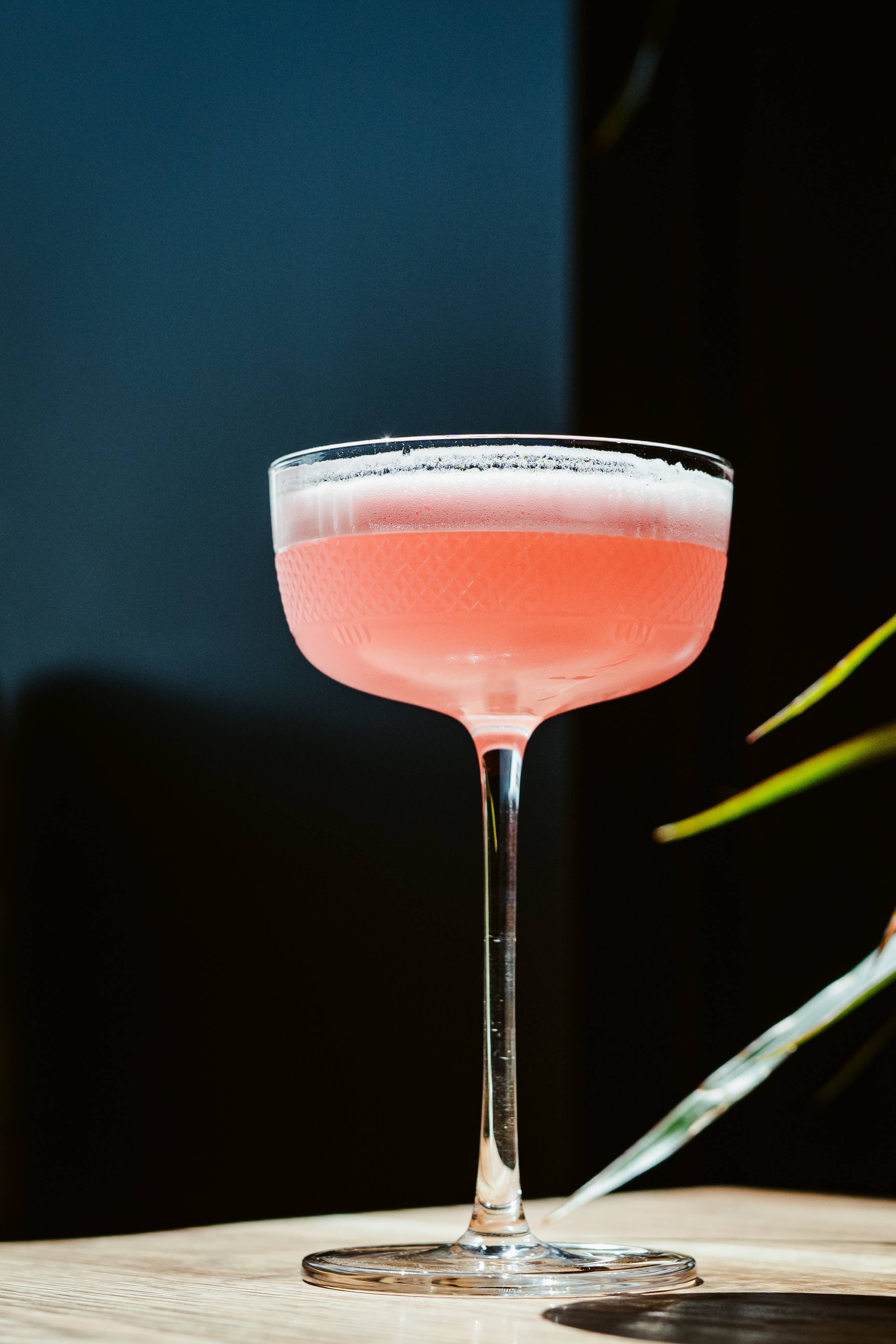 Hospitality Glass – Engroshandel Cocktail-/likørglas – Vibrance 8 ounce coupé4