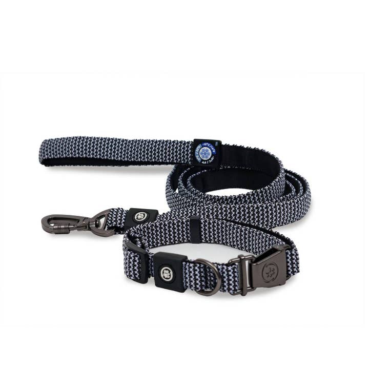 Dollar Paw - Wholesale Pet Collar - Dog - Dog Collar With Leash5