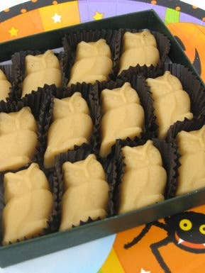 Vermont Maple Candy - Owl Gift Box - 12-piece, 4.8 oz. for wholesale by Maple City Candy