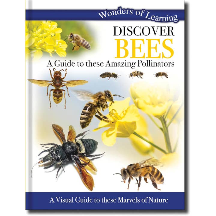 Discover Bees - Children's Reference Book for wholesale by Robert Frederick Ltd