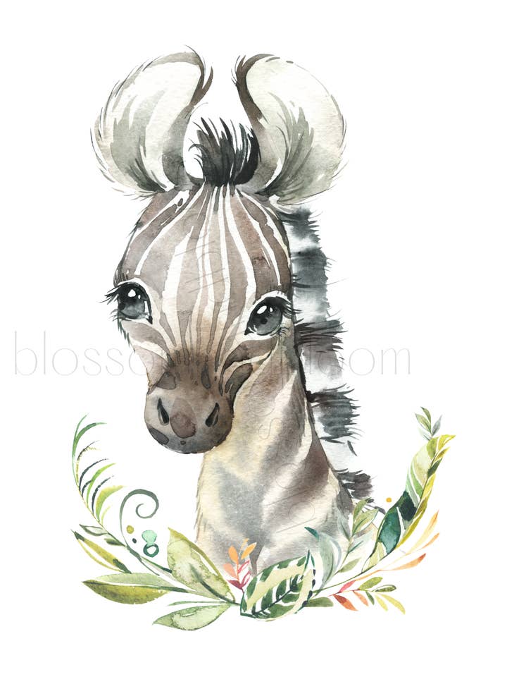 Watercolor Zebra for wholesale by Blossom & Bloom