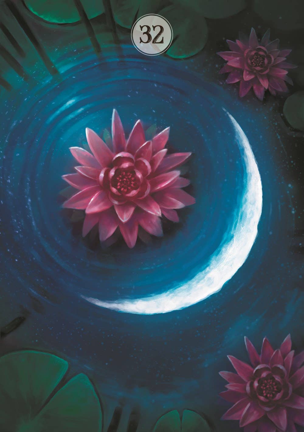 Texas Bookman - Wholesale Tarot Cards - Herbs And Plants Lenormand Oracle Cards3