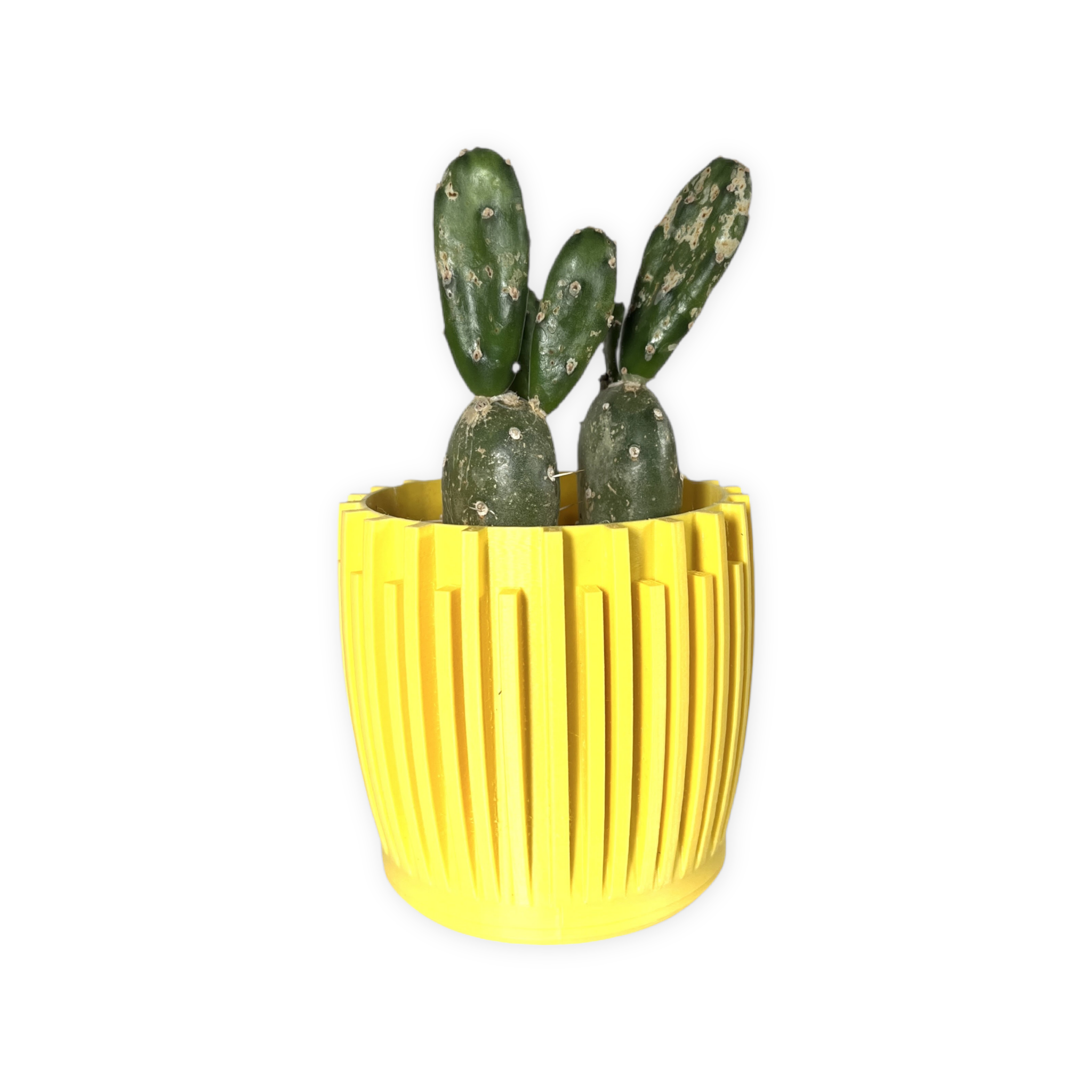 Leafprints.3d - Wholesale Plant Pot - The Leaf – 3 Inch Cover Pot (No Drainage)20