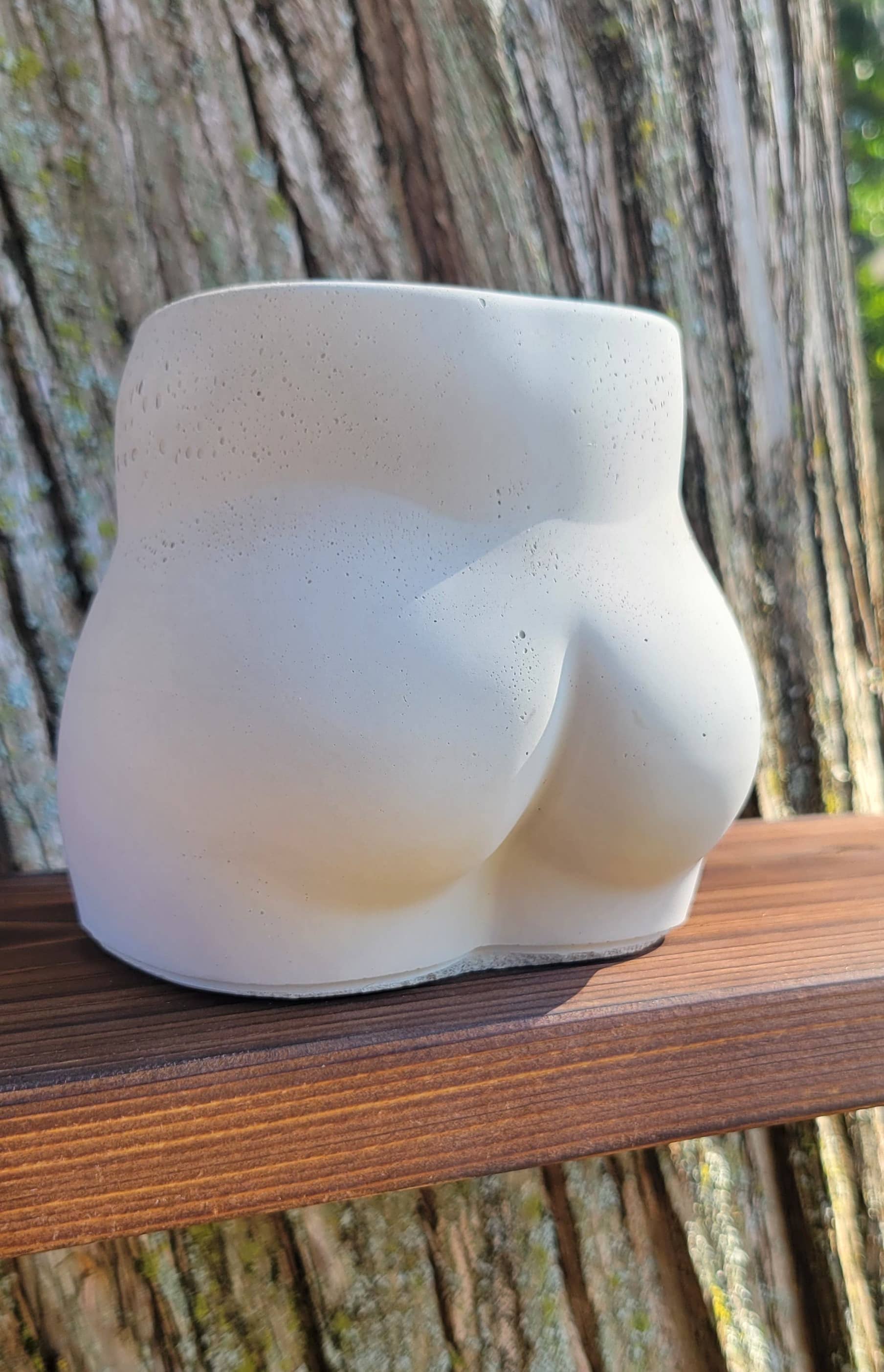 Fern and Folk - Wholesale Plant Pot - Booty Pot | Butt Pot | Butt Planter | Cement pot for plant3