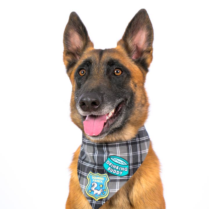 Colored Up Pup - Wholesale Patch - Adventure Dog Iron On Patch for Dogs4