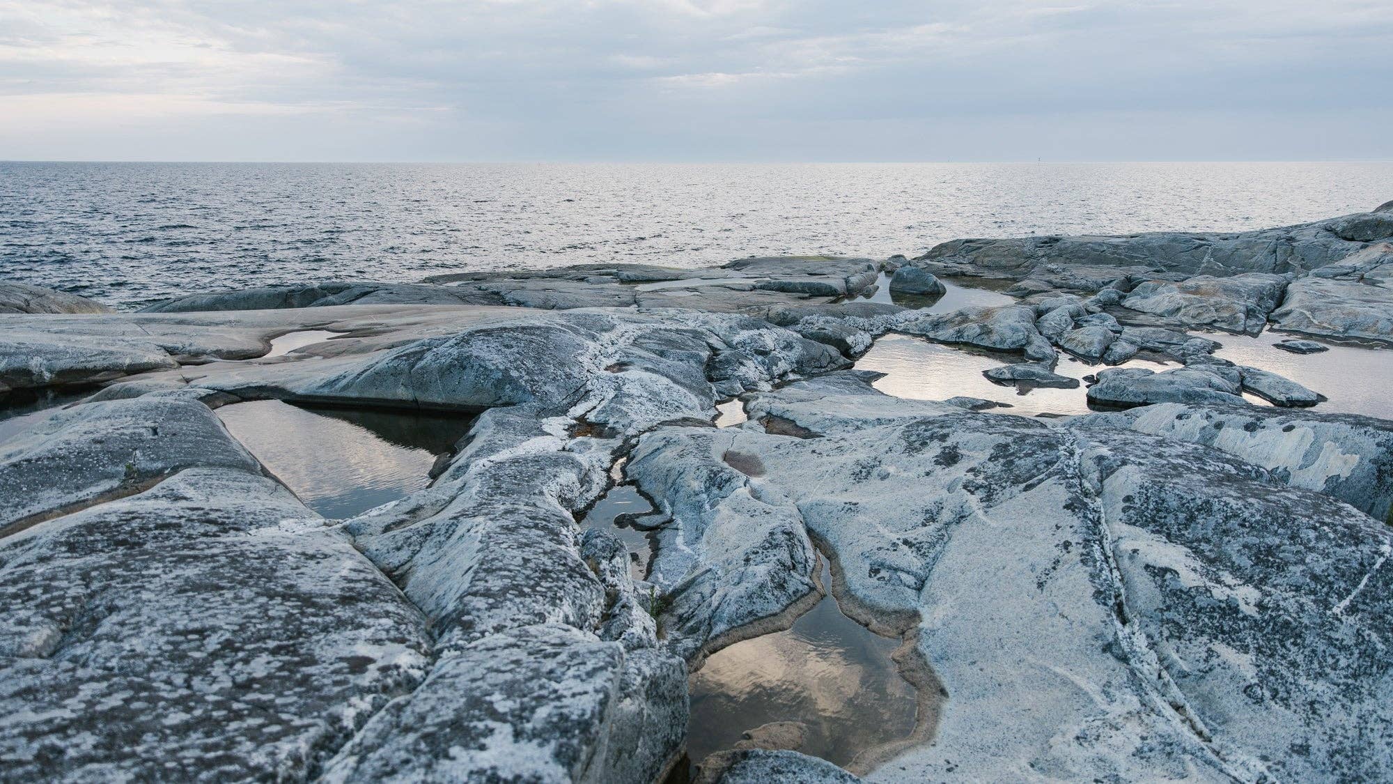 Laine Publishing - Vendita all'ingrosso Rivista - Laine Magazine Numero 92