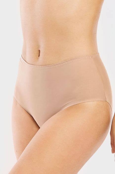 Lingerie Mart - Wholesale Underwear - Women's - Mamia Ladies Silky Brief Panty LP7210PR2