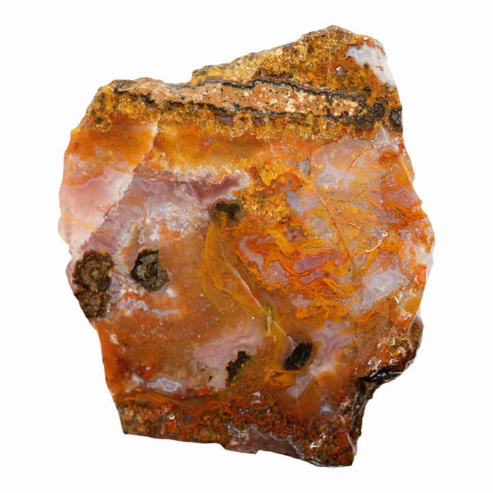 Agua Nueva Agate Slab - Butterscotch Pattern Black Feldspar for wholesale by Lapidary Central