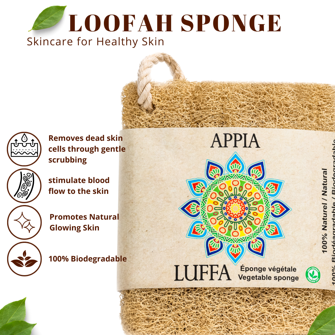 Appia Luffa - Wholesale Loofah - Premium Organic Egyptian Loofah Sponge Large with rope1