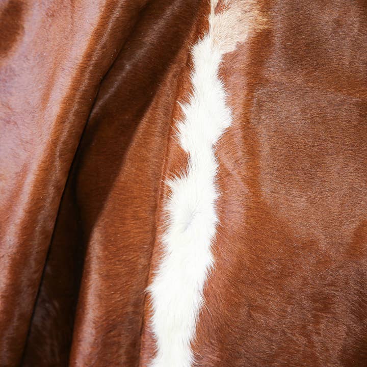 Forever Green Art - Wholesale Area Rug - Cowhide Bundle of 5