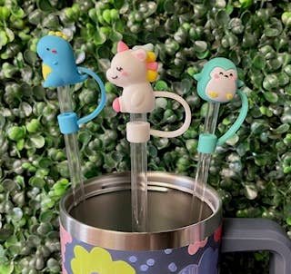 Briano Wholesale - Wholesale Drinking Straw - Other Large Straw Toppers7