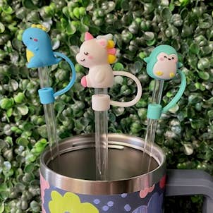 Briano Wholesale - Wholesale Drinking Straw - Other Large Straw Toppers7