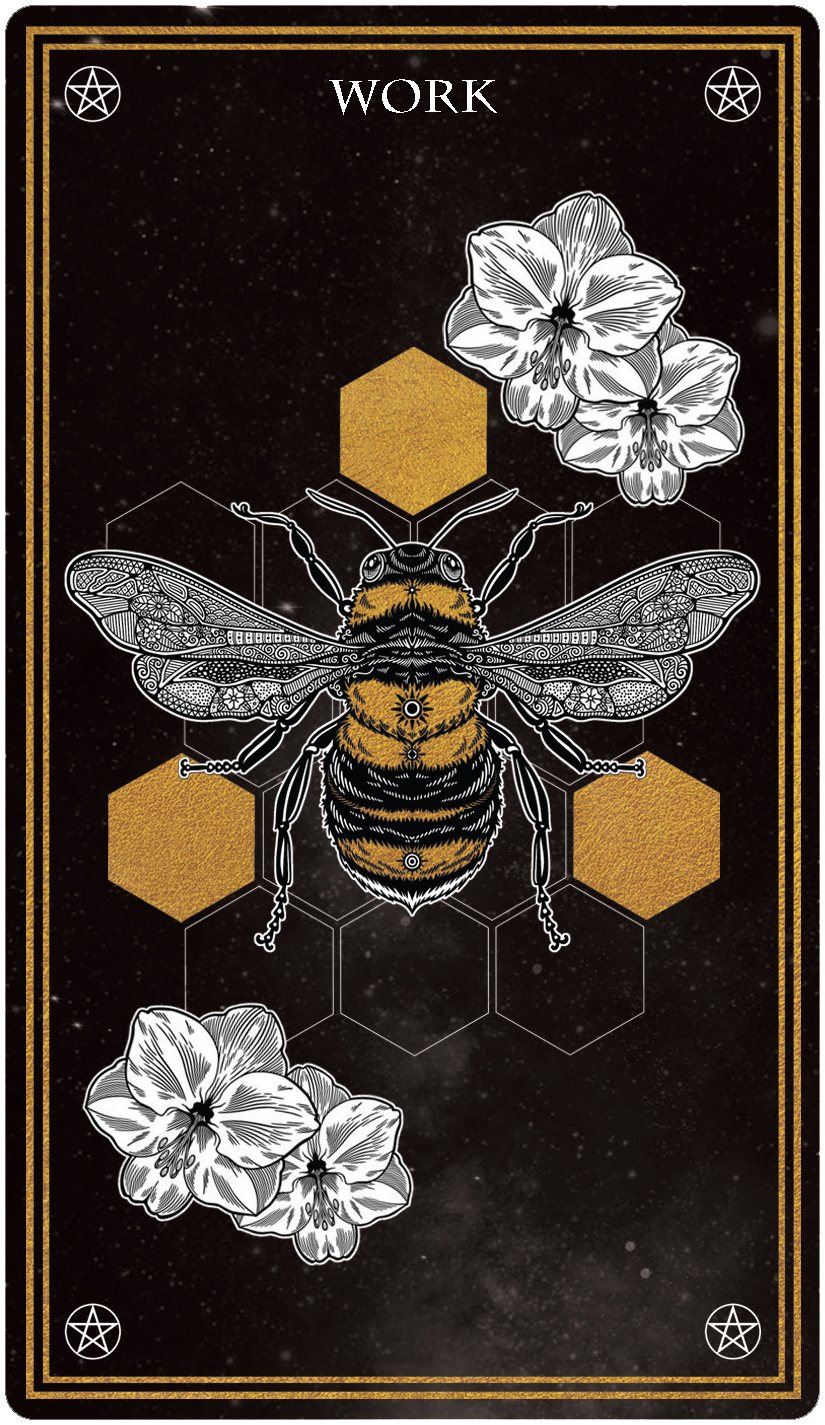 Peter Pauper Press - Vente Carte de tarot/oracles - Deck de cartes Oracle mystique sauvage4