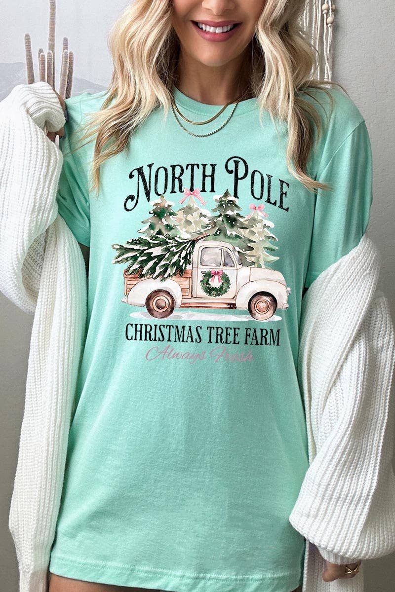 COLORBEAR – Großhandel T-Shirt (Grafikdruck) – Damen – Weihnachtsgrafik-T-Shirt Nordpol17