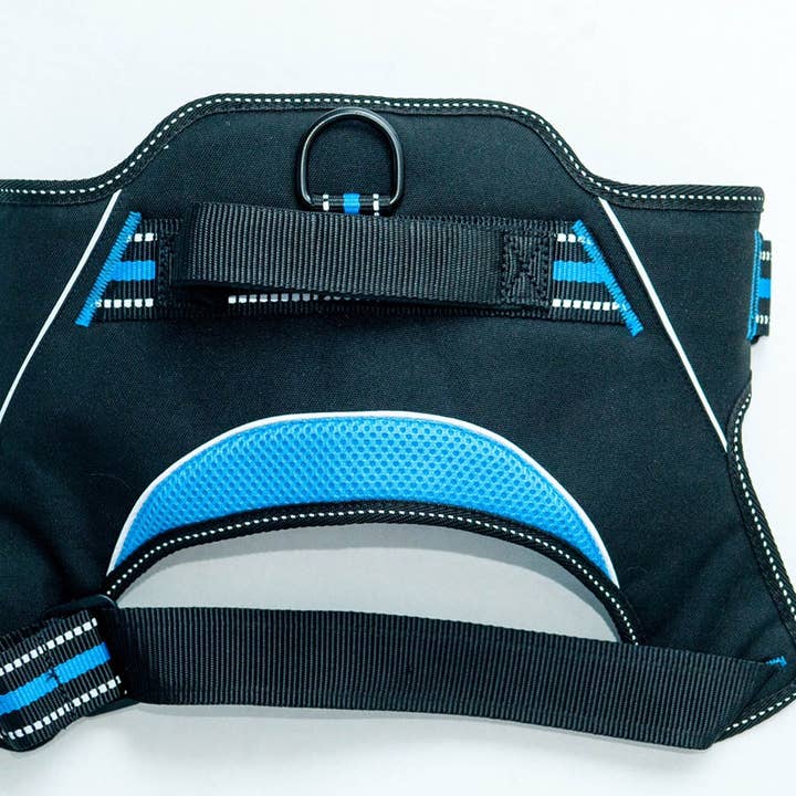 Patented Hart Harness Blue for wholesale by DOGGY TALES