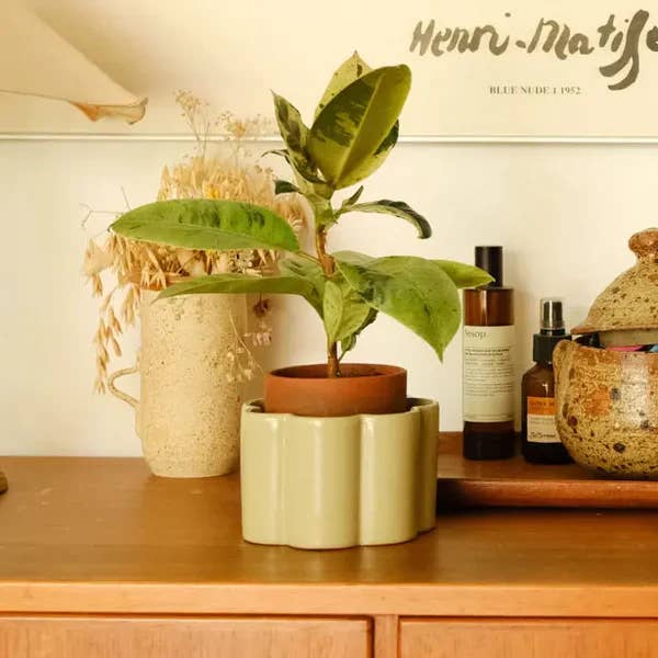 Pepin - Wholesale Plant Pot - Self-watering pot Paulita (S) - Sage green1