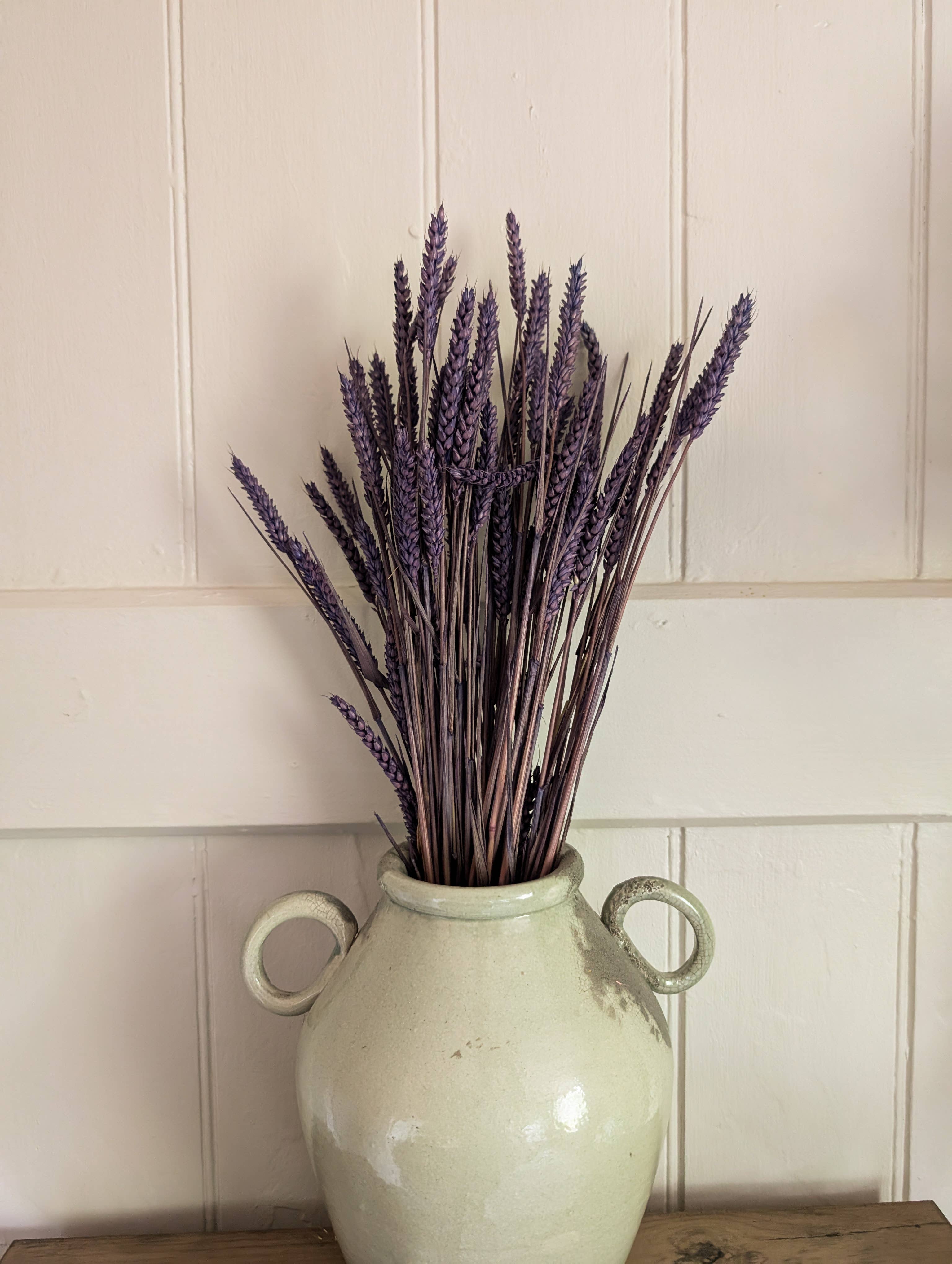 Banksia Botanicals - Wholesale Dried/Pressed Flowers - Purple Triticum Wheat 60-70cm 1