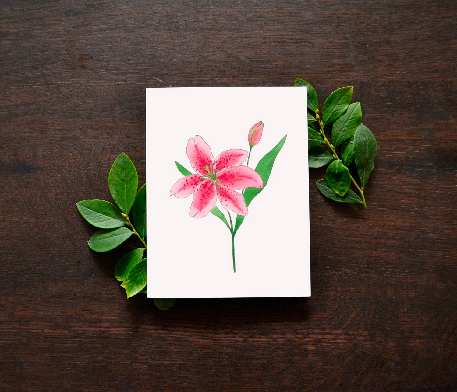 Little Leaf Ink - Wholesale Everyday Greeting Card - Stargazer Lily Greeting Card (A2)0